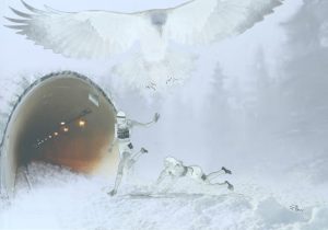 Messaggio di Aurora